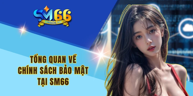 Tổng quan về chính sách bảo mật tại SM66